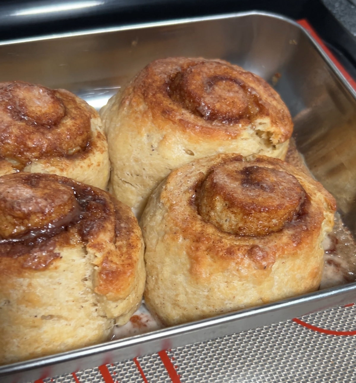 FULL BITTY BUNZ COLLECTION